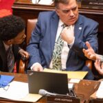 Republican state senator to Trump: Somalis are ‘woven into Minnesota’s fabric’