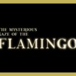 ‘The Mysterious Gaze Of The Flamingo’s Diego Céspedes On Inspirations For AIDS-Era Modern Western – Contenders International