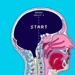 Are We Getting Stupider? | The New Yorker