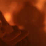 What To Watch On TV And Streaming Sunday, December 7, 2025