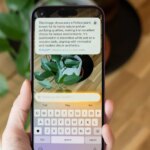 Apple will reportedly allow other AI chatbots to plug into Siri