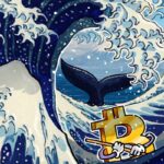 Bitcoin Price May Drop Another 20% Amid Alarming Whale Activity