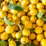 7 Benefits of Lemon Water, Plus If You Should Drink It Hot or Cold