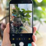 Process Zero is even better with a little processing on the side