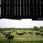 “I’m not for sale”: Farmers refuse to take millions in data center deals