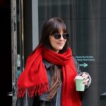 Dakota Johnson Co-Signs a New Sensible Shoe for Spring 2026