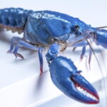 OpenClaw security fears lead Meta, other AI firms to restrict its use