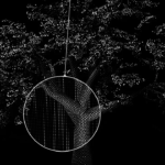 Losing Faith in Atheism | The New Yorker