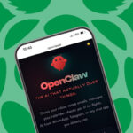 AI fever sparks Raspberry Pi meme stock frenzy