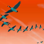 Reasons to worry about America’s investment position with the rest of the world