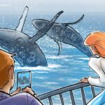 Bitcoin Whales Bought up 61K BTC In a Month Amid Global Uncertainty