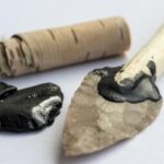 Never mind Band-Aids, Neanderthals had antiseptic birch tar