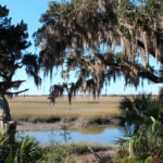 All About Cumberland Island, Where John F. Kennedy Jr. and Carolyn Bessette Got Married