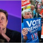 BBC Orders Elon Musk Sequel, Norma Percy Brexit & Anne Frank Series