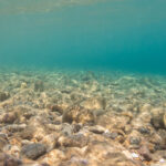 Mining the deep ocean – Ars Technica