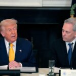 Trump’s AI framework targets state laws, shifts child safety burden to parents