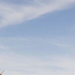 Taylor Lautner and Taylor Dome Are Expecting Their First Child: See the First Photos Here