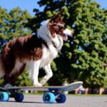 OpenAI plans to shut down Sora just 15 months after its launch