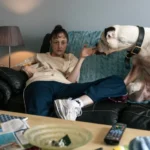 British Indie ‘Dragonfly’ Is Best In Show