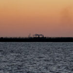 Industry doubts Trump plan to insure Gulf oil tankers as Iran war halts transit