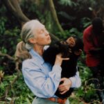 Inside the Inaugural Jane Goodall Institute Hope Gala