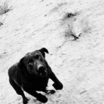 Stephen Shore, Ryan McGinley’s Xeroxes in “Hard Copy New York”